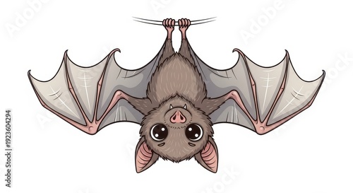 Cute cartoon bat hanging upside down with wide eyes.