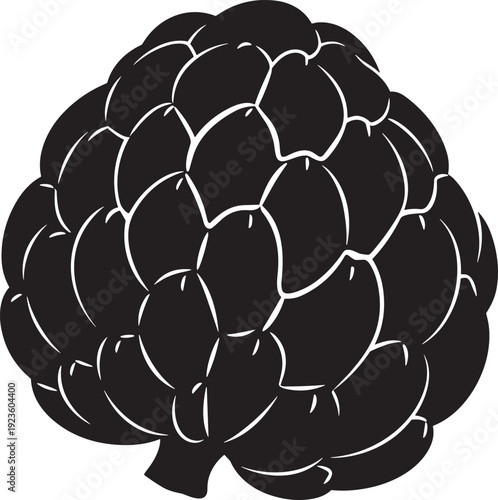 Custard apple fruit illustration black and white graphic design isolated transparent background