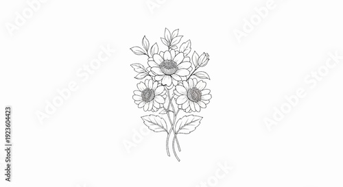 Delicate outline drawing of a bouquet of three flowers