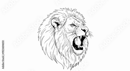 Detailed black and white line drawing of a roaring lion's head