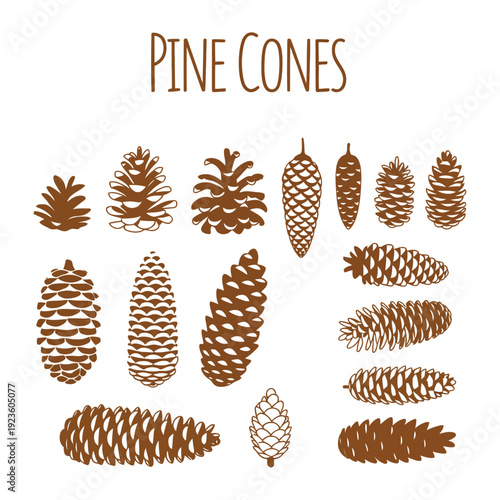 Hand Drawn Pine Cones Vector Collection Set, Detailed Botanical Design Elements for Autumn, Winter, Thanksgiving and Christmas Card Concept, Rustic Seasonal Illustration for Holiday Print