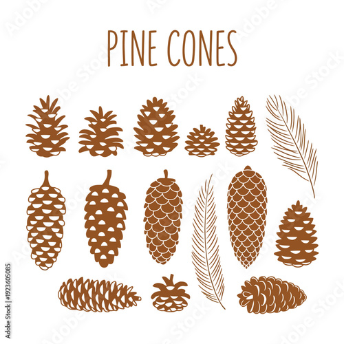 Hand Drawn Pine Cones Vector Collection Set, Detailed Botanical Design Elements for Autumn, Winter, Thanksgiving and Christmas Card Concept, Rustic Seasonal Illustration for Holiday Print