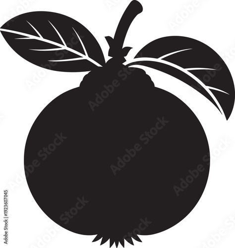 Black Medlar silhouette vector drawing on transparent background fresh superfood fruit