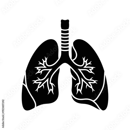 High-detail vector illustration of human lungs and respiratory system in black and white line art, ideal for medical, health, fitness, and educational use with clean, professional design.
