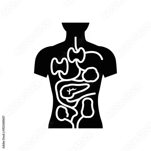 High-contrast black t-shirt featuring a detailed white outline of the human digestive system, ideal for medical education, fitness apparel, and anatomical illustration purposes.