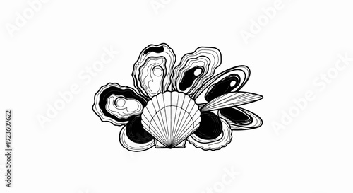Collection of illustrated oysters, mussels, and a scallop shell