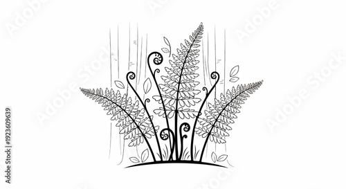 Delicate illustration of ferns and tree trunks in a simple line art style
