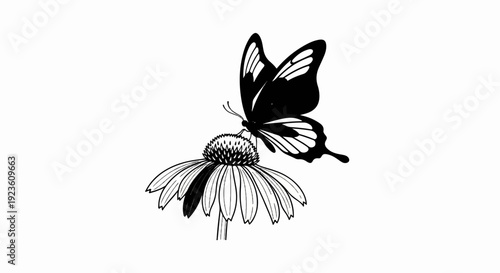 Black and white illustration of a butterfly on a flower