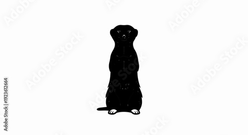 Black meerkat standing upright on white background, front view