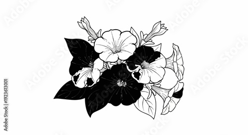 Black and white line drawing of a cluster of blooming flowers and buds
