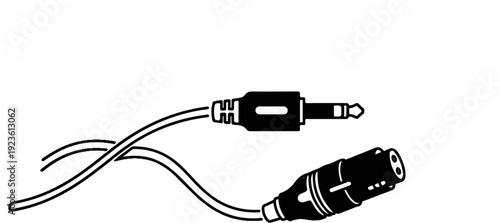 Audio cable with two distinct connectors, a jack and an XLR, isolated on white
