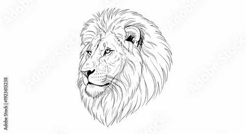Black and white line drawing of a majestic lion's head with a full mane (1)