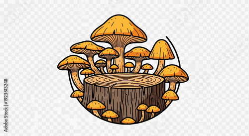 Cluster of orange mushrooms growing on a weathered tree stump