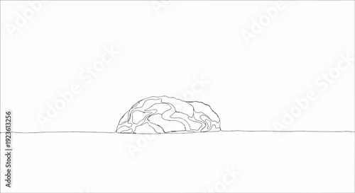 Black and white line drawing of a raised, organic, lumpy form on a plain surface