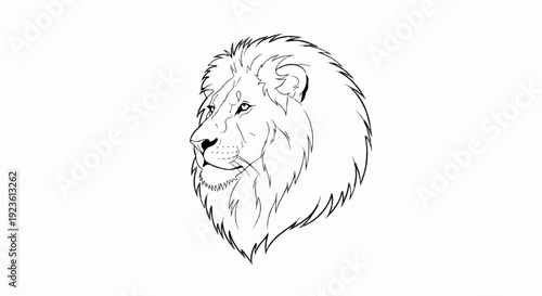 Black and white line drawing of a majestic lion's head with a full mane
