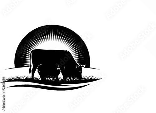 Black silhouette of a bull grazing in a field under a radiant sun