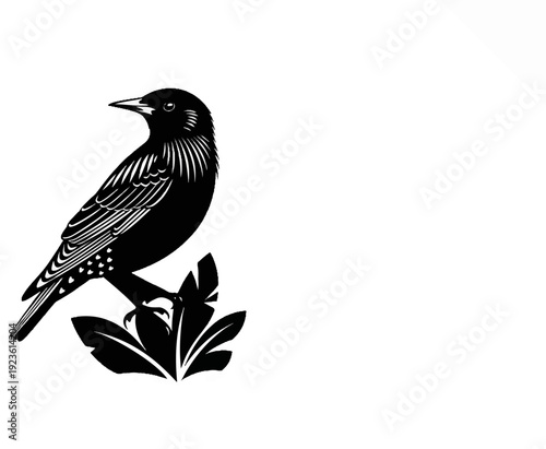 Black and white silhouette of a starling perched on leaves, stark contrast