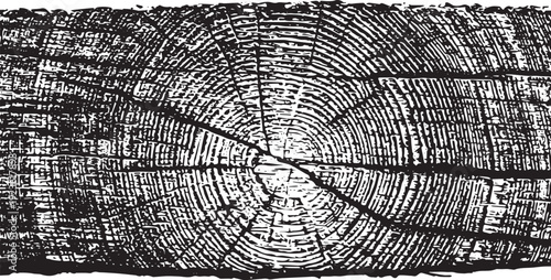 Black and white wood grain texture with rings tree rings