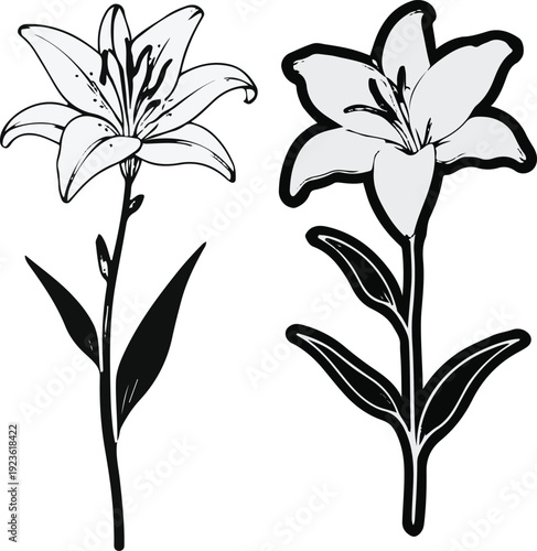 Minimalist natural floral vector sticker of lily flower with stem, bold black thick clean outline, pure white background