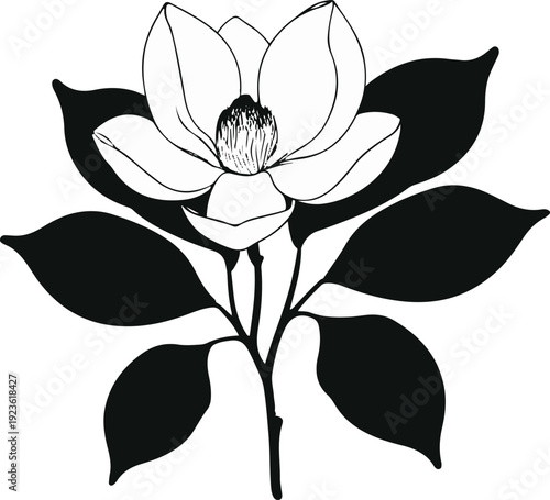 Minimalist natural floral vector sticker of magnolia flower with leaves, bold black thick clean outline, pure white background