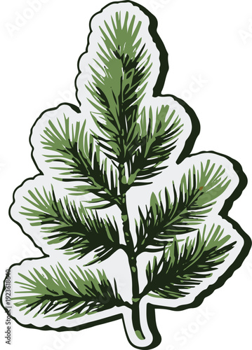  Minimalist natural floral vector sticker of pine branch with needles, bold black thick clean outline, pure white background