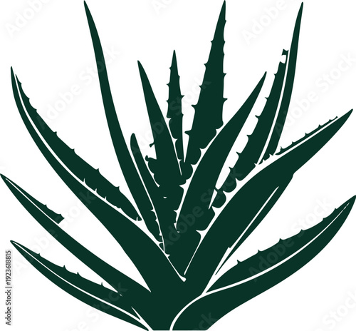 Minimalist natural floral vector sticker of aloe vera plant leaf cluster, bold black thick clean outline, pure white background