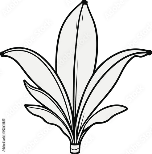 Minimalist natural floral vector sticker of banana leaf, bold black thick clean outline, pure white background