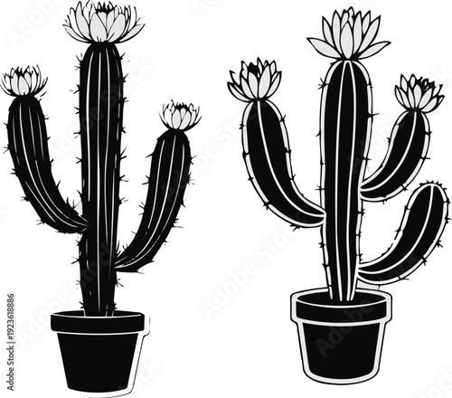 Minimalist natural floral vector sticker of cactus plant with spines, bold black thick clean outline, pure white background