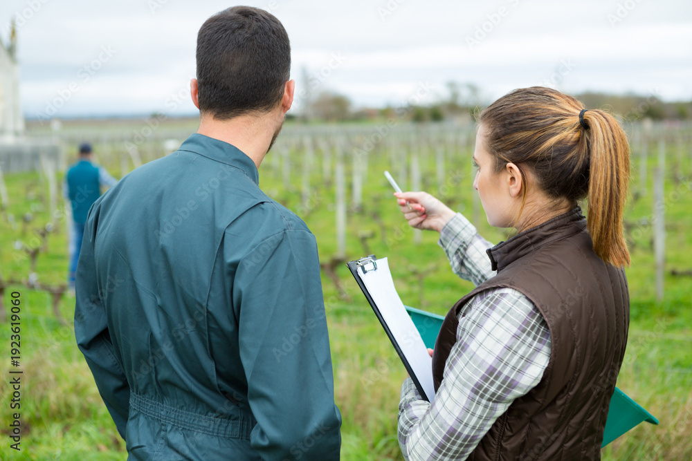 Fototapeta premium female worker in vineyards pointing at something