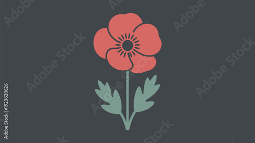 A simple red poppy flower on a dark background