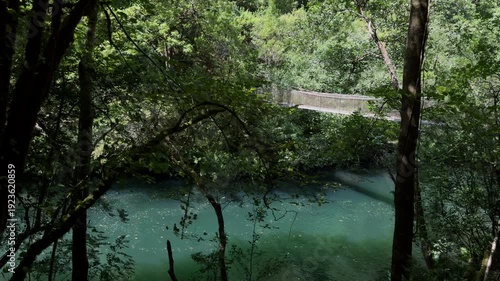 Mysterious Suspended Footbridge Peeking Through Lush Riverside Foliage