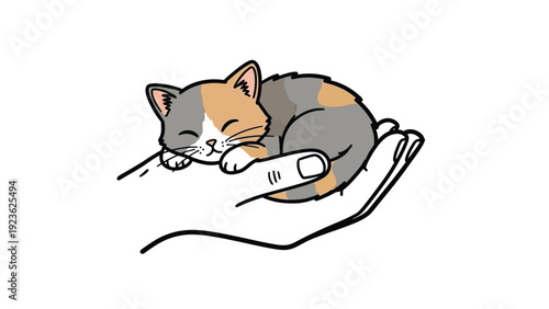 A sleeping calico kitten curled up on an outstretched hand against a plain white background with soft lines.