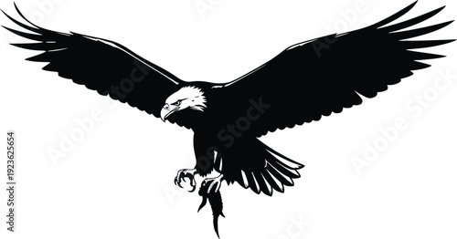 Bald eagle silhouette with spread wings, powerful bird isolated on white background