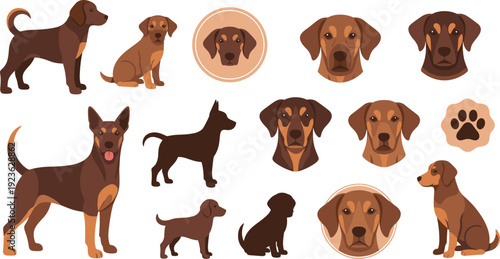 Doberman Dog Cartoon Character and Head Portrait Collection with Sitting Standing Silhouette Paw Icon Flat Vector Illustration Set Police Stop
