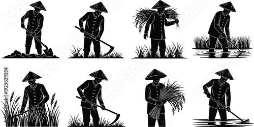 Vector set of black silhouettes featuring Asian farmers wearing conical hats while planting rice harvesting crops and working in paddy fields with farm tools