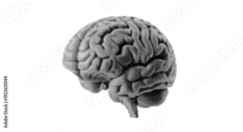 Halftone Human Brain Detailed Anatomy Vector Illustration Isolated on White Background