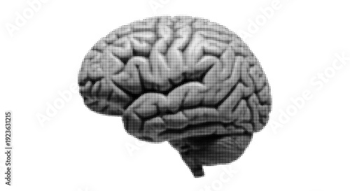 Halftone Human Brain Side Profile Vector Illustration Isolated on White Background