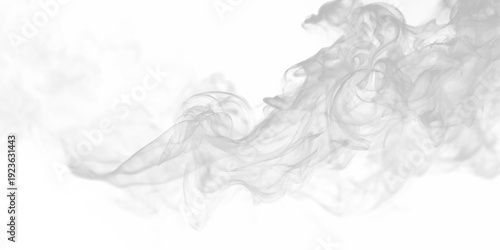 Soft white fog drifts across a transparent PNG background. Wispy layers blur gently in the light. Ideal overlay for mystical or dreamy effects.