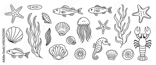 marine wildlife doodle collection featuring coral, starfish, shells, seahorses, mollusks, lobsters, seaweed, jellyfish, and cute aquarium sea creatures for aquatic design projects.