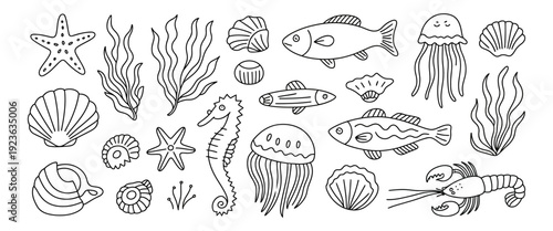 marine wildlife doodle collection featuring coral, starfish, shells, seahorses, mollusks, lobsters, seaweed, jellyfish, and cute aquarium sea creatures for aquatic design projects.