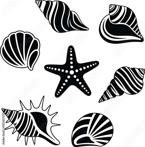 Black and white seashell vector icons with starfish marine life minimalist coastal design illustration collection