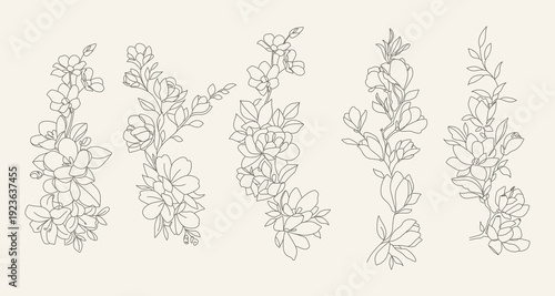 Flowers Set Elegant Line Art Drawing. Hand Drawn Floral Plant Vector Illustrations Collection. Outline Graphic Flowers Art Drawing. Botanical Doodle Minimalist Linear Design