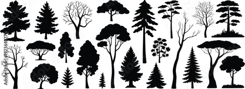 Trees, silhouettes, collection, forest, nature, woodland, variety, evergreen, deciduous, landscape, botanical, environment, outdoor, natural, scenic, isolated, vector, design, flat, illustration