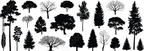 Trees, silhouettes, collection, forest, nature, woodland, variety, evergreen, deciduous, landscape, environment, botanical, outdoor, natural, scenic, isolated, vector, design, flat, illustration