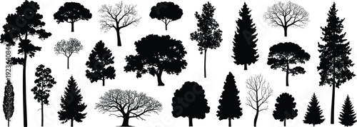 Trees, silhouettes, collection, forest, nature, woodland, variety, evergreen, deciduous, landscape, environment, outdoor, natural, botanical, scenic, isolated, vector, design, flat, illustration
