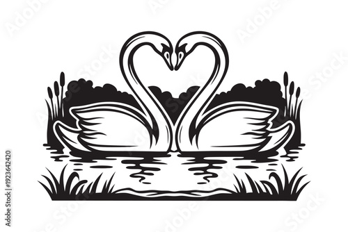 Two swans create a heart shape with necks on river