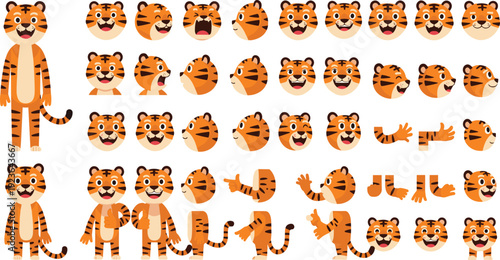 Tiger Cartoon Character Creation Kit with Different Faces Body Parts Poses and Emotions Funny Animal Builder Vector Illustration Set Police Stop