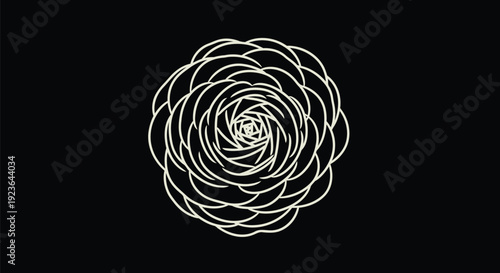 Ranunculus Top View Monoline Petal Loops on Black – Off-White Minimal Floral Vector Line Art