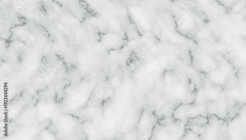 White Marble Texture with Gray Veins