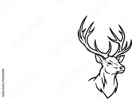 Majestic stag head with impressive antlers, rendered in a sketchy linework style